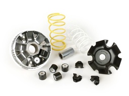 [M5116674] Variator MALOSSI Multivar 2000,  für Vespa Primavera/Sprint/LX (Vietnam)/S (Vietnam) 3V i.e. 125ccm,  für PIAGGIO LEM/iGet 3V i.e. 125ccm 4T AC  20x17 mm, 6 Rollen, 11,5g