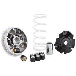 [M5115639] Variator MALOSSI Multivar 2000,  für Vespa LX/S/946 3V i.e. 125 -150ccm 4T AC, passt auch  für Vespa Primavera/Sprint 3V i.e. 150ccm,  20x17 mm, 6 Rollen, 9,0/13,5g